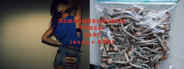 apvp Балахна