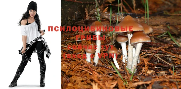 прущий лед Балабаново